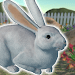 Rabbit Friends - caring games