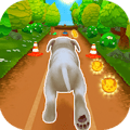 Pet Run Puppy Dog Game