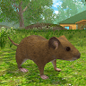 Mouse Simulator rat rodent animal life