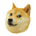 Doge 2048