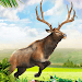 deer hunting: hunter games