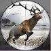 Animal Hunting Games 3D