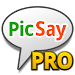 PicSay Pro - Photo Editor