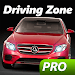 Driving Zone: Germany Pro