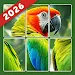 Jigsolitaire Puzzle: Slide Fun