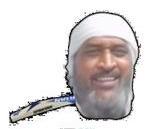 Flappy Dhoni