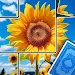 Jigscapes Puzzle