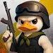 Duck Survival