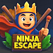 Ninja Escape