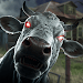 REAP: Horror Farming Simulator