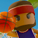 Dunk Tycoon