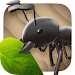 Idle Ant War