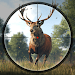 Animal Hunting - Sniper Match