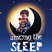 Among The Sleep