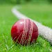 Cricket Kings Cricket Game