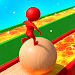 Snow Race 3D™: Fun Racing