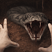Anaconda : Multiplayer Horror