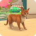 Tiny Paws: My Pets Journey