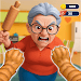 Bad Cat Angry Granny Prankster