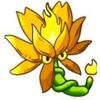 PVZ Fusion