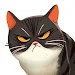 Hungry Cat