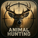 Real Animal Hunting