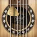 Real Guitar - Tabs and chords