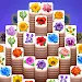 Blossom master: Tile matching