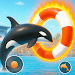 Shark Dolphin sim Game Show