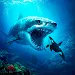 Megalodon Sea Monster Game