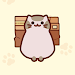 Cats in Boxes