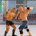 Wrestler Smackdown 3D Fighting