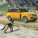 Police on Border - Car Check