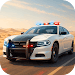Police Arrest simulator