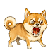 Bow Wow Doge Battle