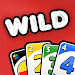 WILD  Card Party Adventure