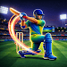 Pro Cricket 3D Bat Ball League