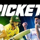 Cricket 24
