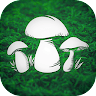 Real Mushroom Hunting Simulator 3D