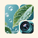 ZoomLens
