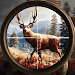 Hunting Clash Hunter Games