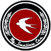 My Swallow Car [Beta]