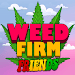 大麻公司2