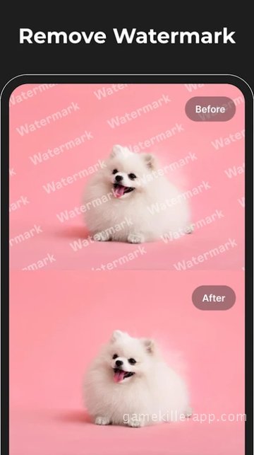 App Screenshot 3