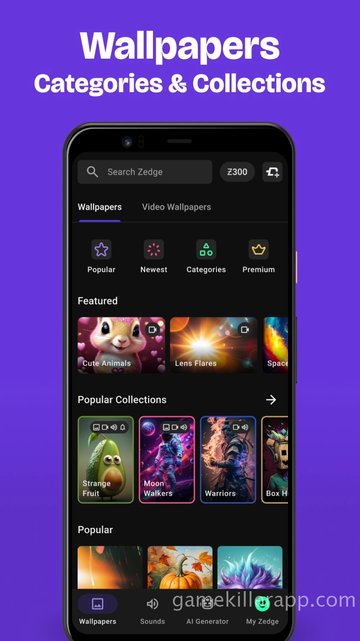 App Screenshot 1