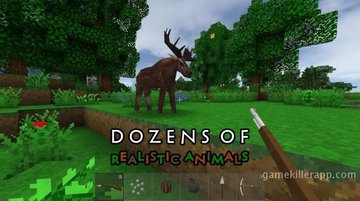 App Screenshot 4