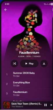 App Screenshot 2