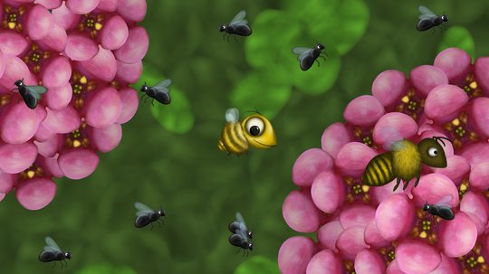 banner img 2