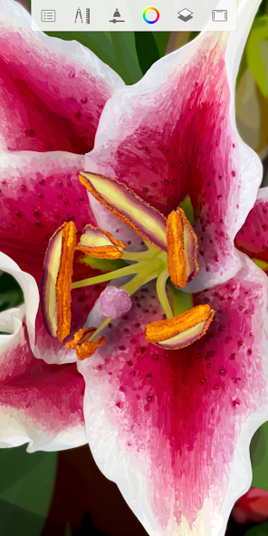 banner img 4