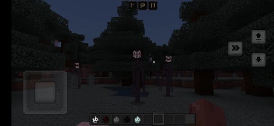 banner img 3